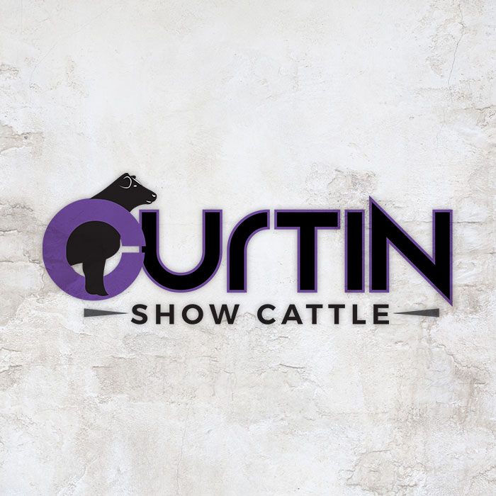 Curtin Show Cattle logo
