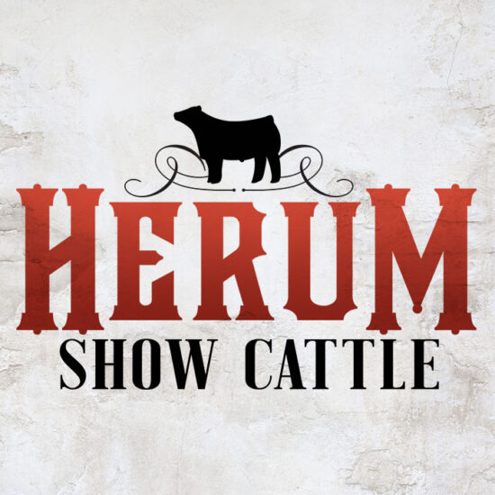 Herum Logo Design