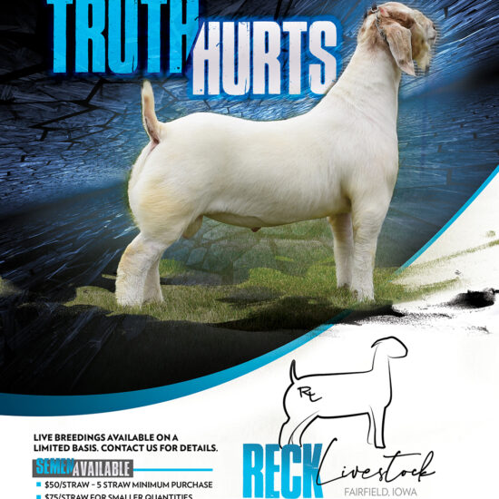 Reck Livestock Truth Hurts