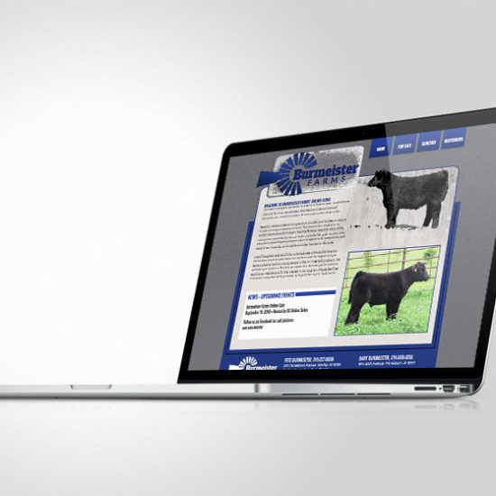 Burmeister Farms Website