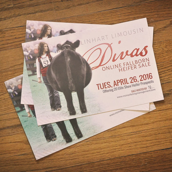 Linhart Divas Promotional Postcard
