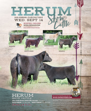 Herum Show Cattle - IA