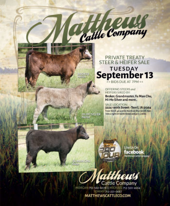 Matthews Cattle Co - IA
