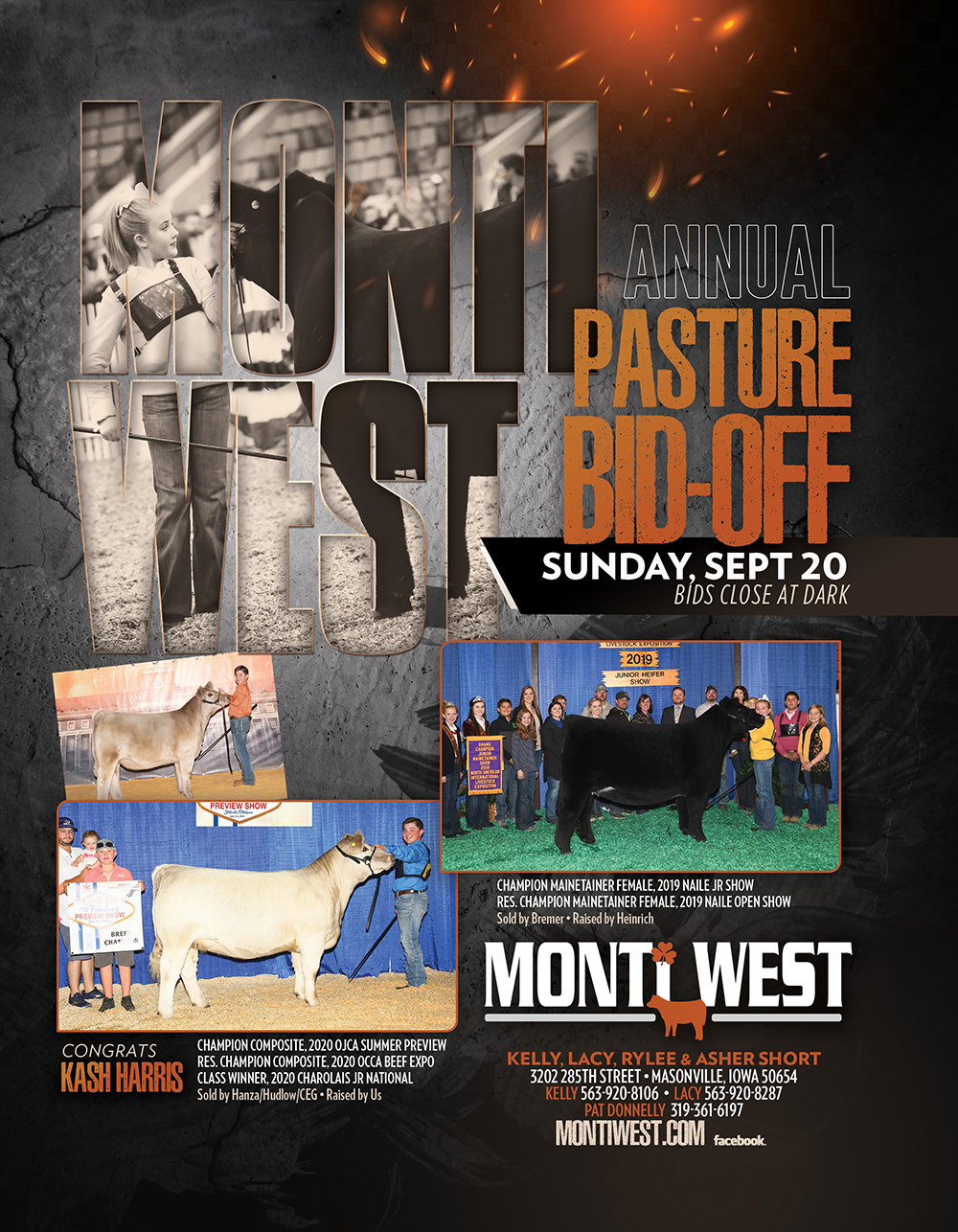 Monti West Black Cattle 2020